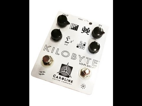 Caroline Guitar Company Kilobyte Lo-fi Delay image 3