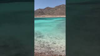 Yes, this place is REAL! 🇪🇬 #egypt #sinai #redsea #dahab #travel