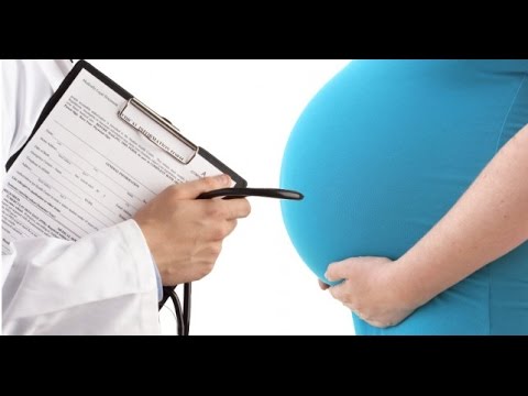 First OB Appointment | Daily Vlog 412