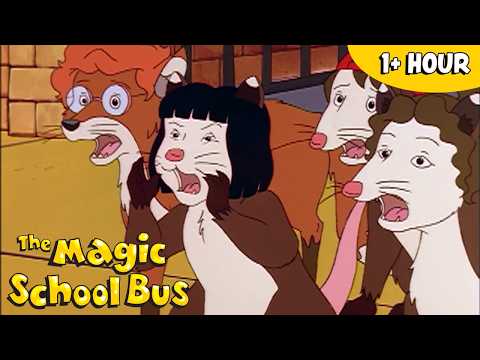 Animal Takeover! Wild & Funny Animal Compilation | Magic School Bus | Scholastic After School