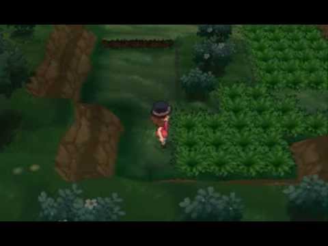 Pokemon Y [Part 51: Route 18]