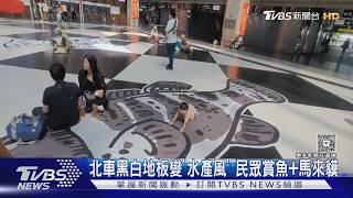 北車大廳變身水產圖鑑!虱目魚、鬼頭刀躍上地板 民眾搶拍