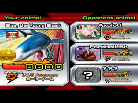 [PC] Animal Kaiser Blue The Young Shark #animalkaiser