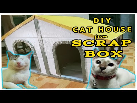 DIY Cat House From Scrap Box | two doors cat house #howtomakecathouse #DIY #cat