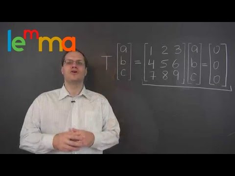 Linear Algebra 15o: The Null Space of a Linear Transformation