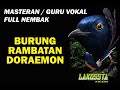 MASTERAN ATAU GURU VOKAL UNTUK MURAI BATU SUARA BURUNG RAMBATAN DORAEMON Masteranburung Murai