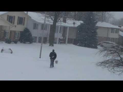 Dog, owner, and the Charles Mingus quintet with Bud Powell remember April