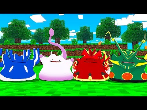 Ditto versão Mewtwo vs Ditto versão Groudon, Rayquaza e Kyogre - MINECRAFT