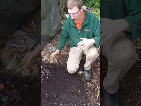 #ThursdayTip Check out the quality of castings in this worm farm!