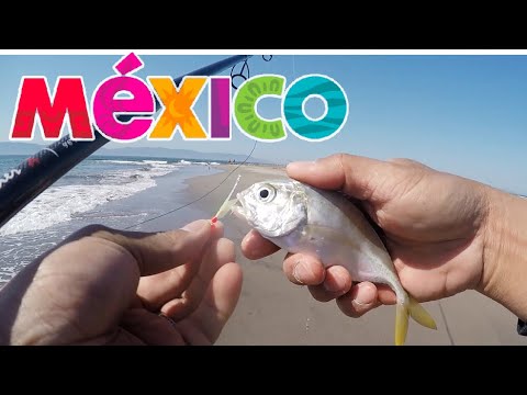 Mexico Fishing pt.1 | Catching new species