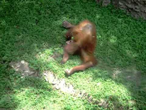 The Smallest Girl In The World