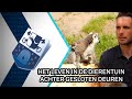 Het leven in de dierentuin achter gesloten deuren - 9 april 2020 - Peel en Maas TV Venray