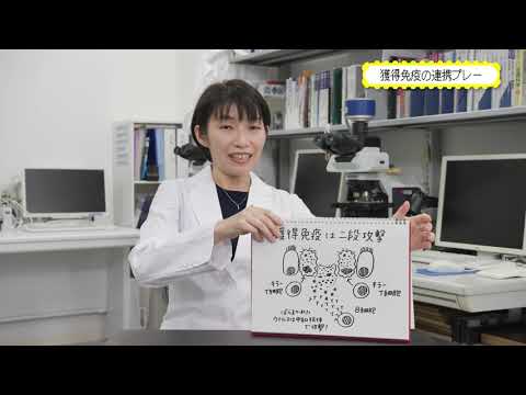 医学科 MEditLab 医学×バイオ コマ2 【おしゃべり病理医のMEdit Lab－医学Medicine×編集Editで世界を読む】