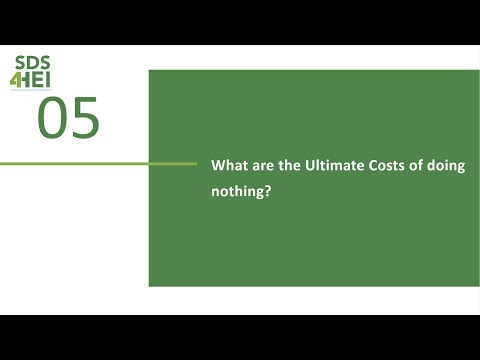 Module 4 - Section 5 | What are the Ultimate Costs of doing nothing?