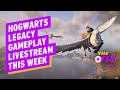 Hogwarts Legacy Will Finally Show Gameplay This Week - IGN Daily Fix