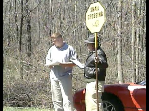 Candid Camera Classic: Snail Crossing