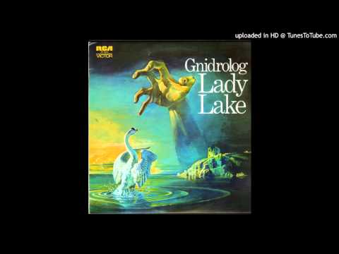 Gnidrolog - I Could Never Be A Soldier