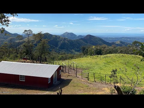 El camino hacia Nueva Molena, vida y Naturaleza en la Comarca Ngäbe Buglé.