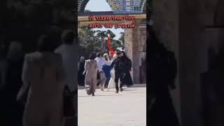 צפו: לראשונה לכאורה מאז חורבן הבית, כהן הניף את קורבן שתי הלחם בהר הבית במהלך חג השבועות. (חדשות הקול היהודי) - התמונה מוצגת ישירות מתוך אתר האינטרנט יוטיוב. זכויות היוצרים בתמונה שייכות ליוצרה. קישור קרדיט למקור התוכן נמצא בתוך דף הסרטון צפו: לראשונה לכאורה מאז חורבן הבית, כהן הניף את קורבן שתי הלחם בהר הבית במהלך חג השבועות. (חדשות הקול היהודי) - התמונה מוצגת ישירות מתוך אתר האינטרנט יוטיוב. זכויות היוצרים בתמונה שייכות ליוצרה. קישור קרדיט למקור התוכן נמצא בתוך דף הסרטון