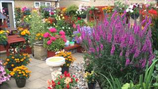 2015 Cottage garden in all its glory, Full Bloom Stunning Kidlington Oxfordshire