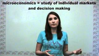 Microeconomics Versus Macroeconomics