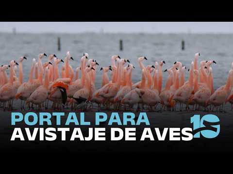 Morteros, su rica historia tambera y su gente amable