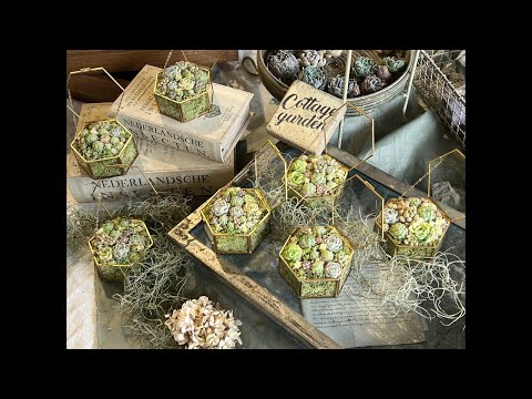 コテージガーデンにとって最も重要な植物 トピックス