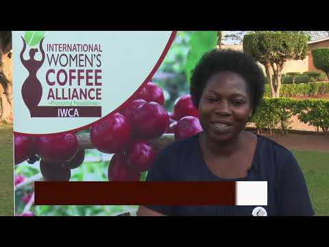 Women in coffee: Empower Today Reimagine Tomorrow.
