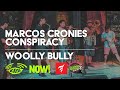 The Marcos Cronies Conspiracy Woolly Bully By Sam The Sham And The Pharaohs