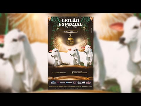 LEILÃO GADO DE CORTE ESTRELA DO AGRO LEILÕES  FAINA-GO 28/12/2025 | Leilão ao Vivo - Leilão de Gado