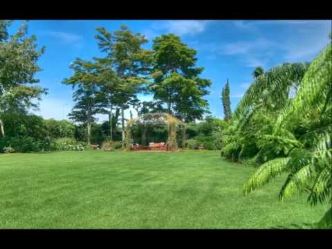 El Polvo Del Destino - Arnulfo Briceno