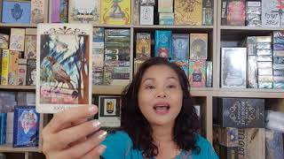 แก้ปัญหางานด้วยไพ่ยิปซี  #thefool Solve work problems by tarot แก้ปัญหางานด้วยไพ่ยิปซี  #thefool Solve work problems by tarot