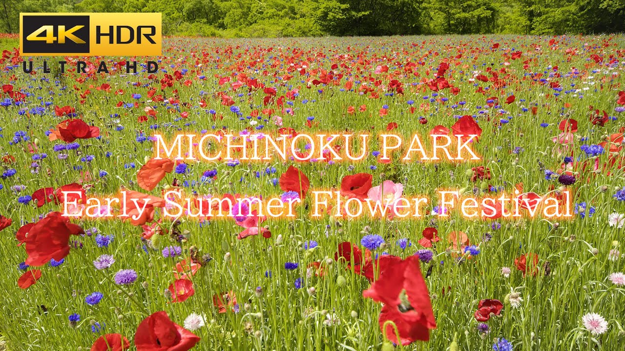 Embark on a virtual exploration of Michinoku Lakeside National Government Park.