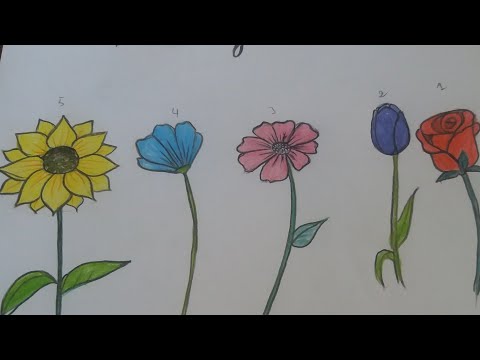 How to draw flowers a in easy way