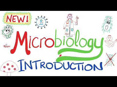 An Introduction to Microbiology 🧫