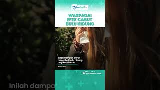 Waspada! Kebiasaan Cabut Bulu Hidung Bisa Picu Masalah Serius