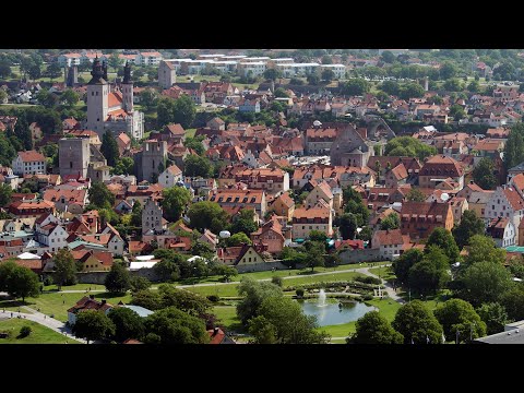 Försvaret av Sverige och våra allierade