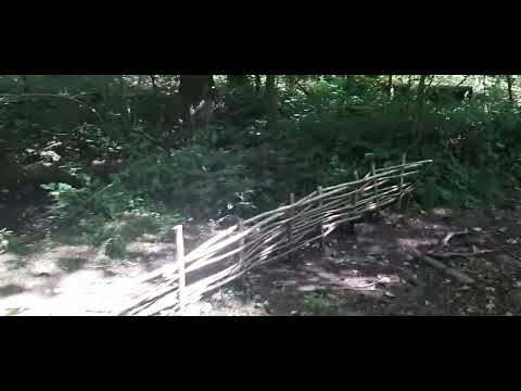 Ohey Namur Belgium Walk in the Woods Boswandeling Promenade Forêt River Relaxing Outdoor