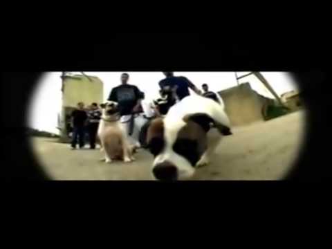 Superior & L-Dizz - Exclusive Punchlines (Musikvideo 2008) Grande Beats