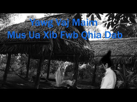 Jul 17, 2025 Yawg Vaj Maim  Poj Ntxoog Coj Mus Ua Xib Fwb Qhia