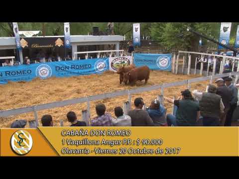 20-10-17 Venta de Vaquillonas Angus P.P. - Cabaña Don Romeo - Olavarria.