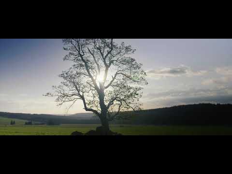 SteySky - SteySky - Prázdná ulice
