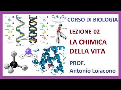 CORSO DI BIOLOGIA - Lezione 02 - La chimica della Vita