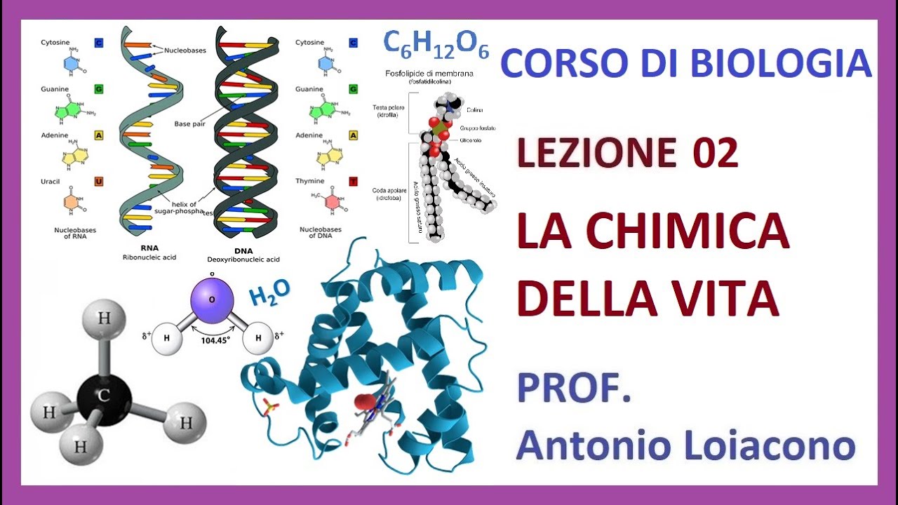 CORSO DI BIOLOGIA - Lezione 02 - La chimica della Vita