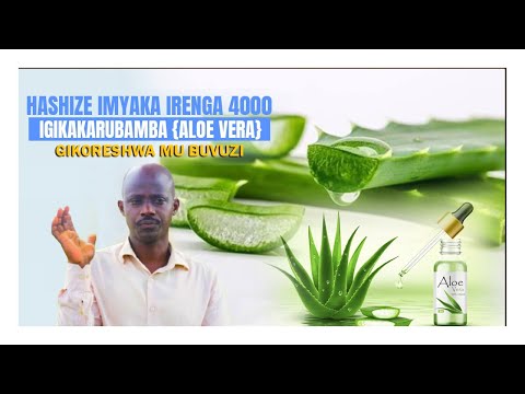 EP016: Igikakarubamba: Koresha iki kimera nk'umuti uzavumbura Byinshi utari Uzi by Muganga Kayitare 