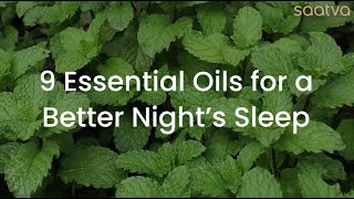 Saatva 9 Essential Oils for a Better Night's Sleep | Saatva