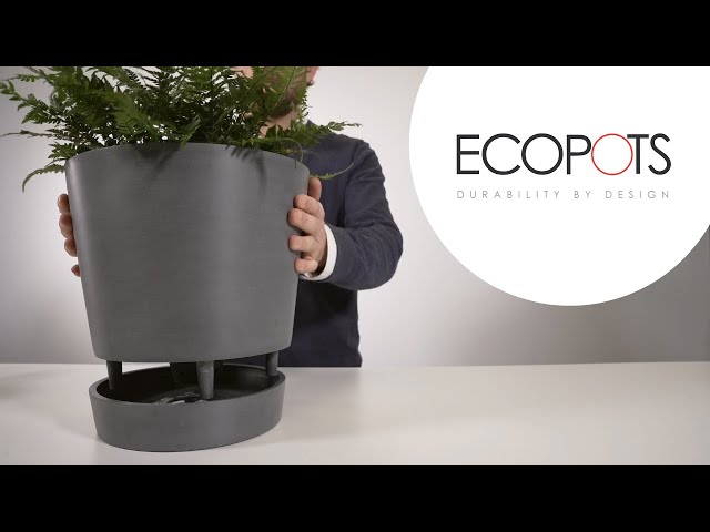 Video teaser for Ecopots Venice