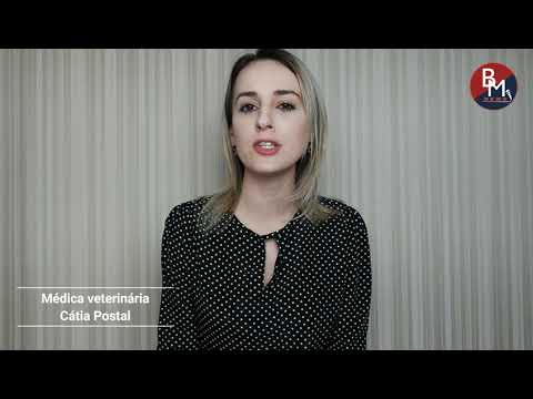 Existe diferença entre ração ligth e ração para perda de peso?