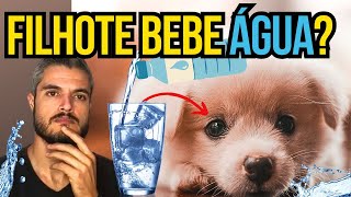 PUPPY DOES NOT DRINK WATER WHEN GIVING LIQUIDS TO YOUNG DOGS WEANING THEY EAT PAPER WITHOUT MILK