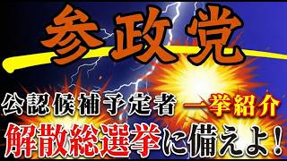 【荒れ狂う国会】 参政党 大躍進の大チャンス到来🐦‍🔥 神谷宗幣の戦略とは？